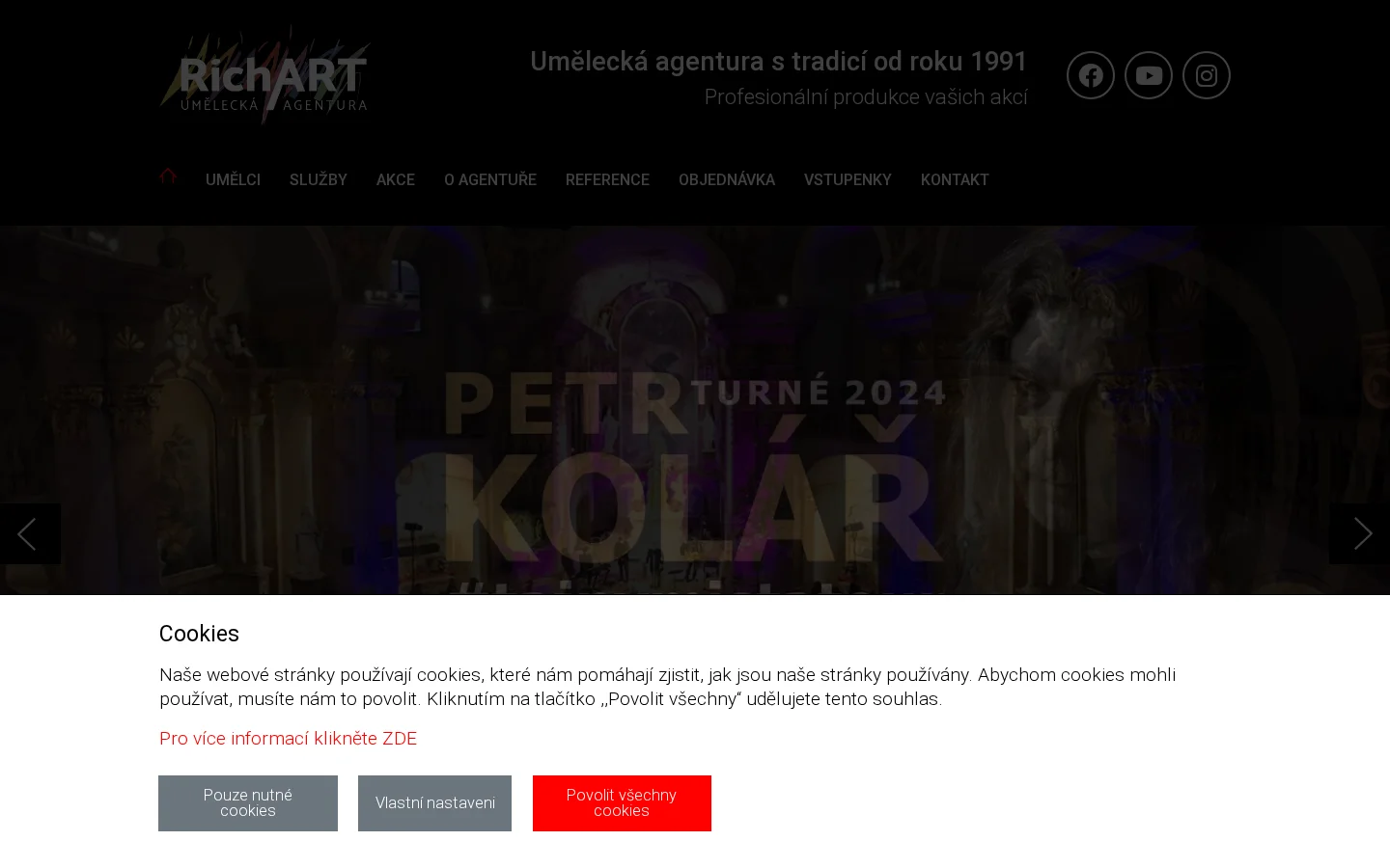 Umělecká agentura RichART website