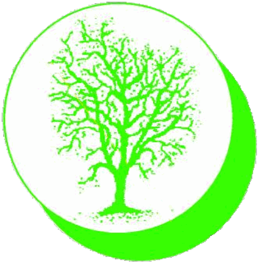 ROBIK logo