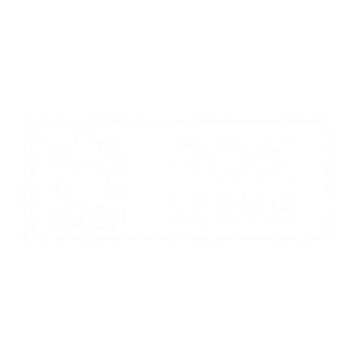 ROK Servis logo