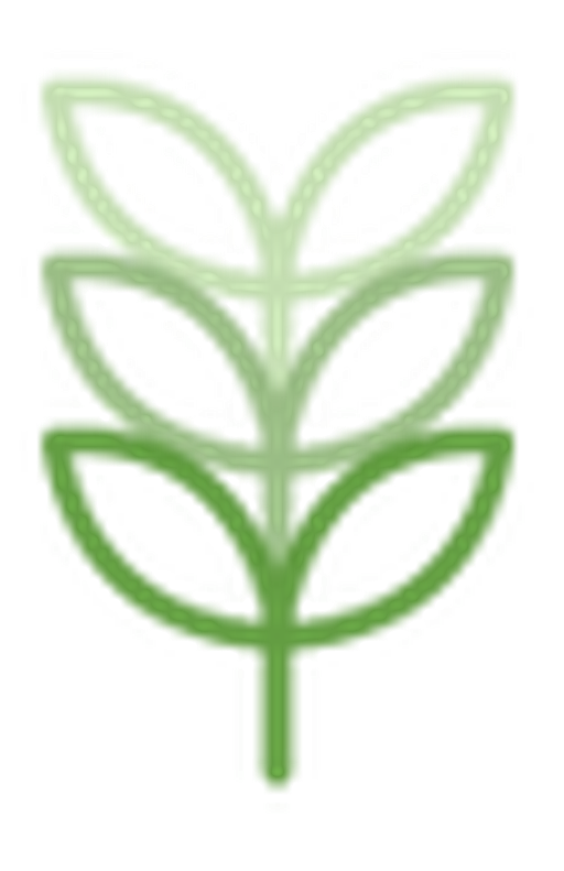 Mgr. Romana Veselá - hemosken logo