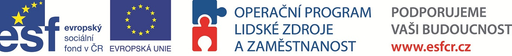 Roska Ústí nad Orlicí logo