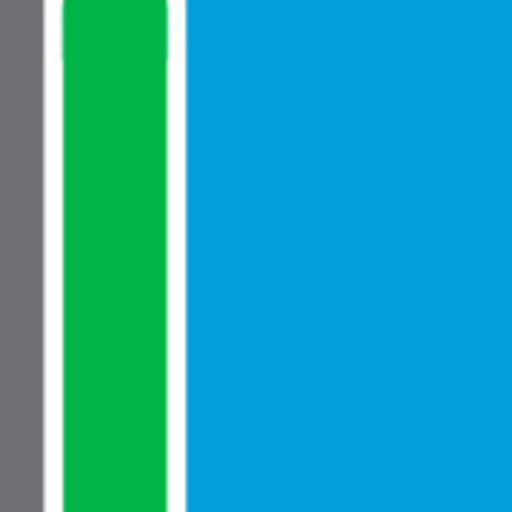 RSM logo