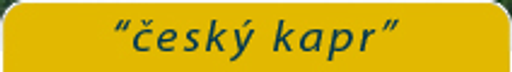 Rybářství vysočiny v.o.s. logo