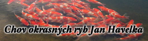 Chov ryb Jan Havelka logo