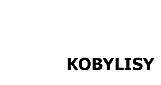 Šachový oddíl TJ Kobylisy logo