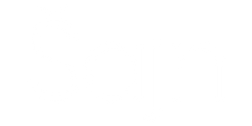 Šajn – světelné studio logo