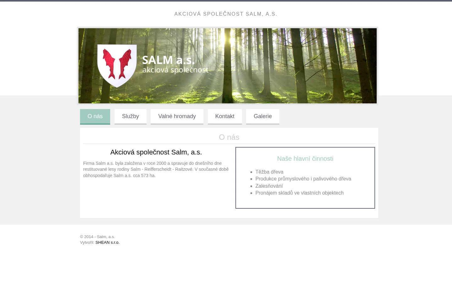 Salm, a.s. website