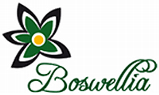 Salon Boswellia - Júlia Bechyňová logo