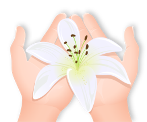 Masážní salon Lilie logo