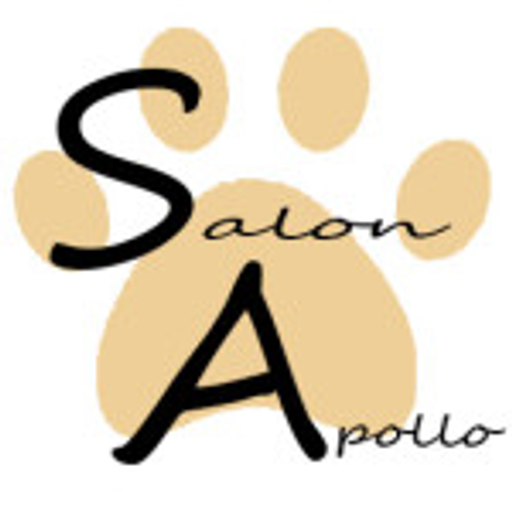 Salon Apollo logo