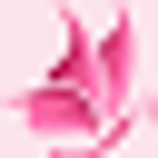 SALON KRÁSY DANA SOUCHOVÁ logo