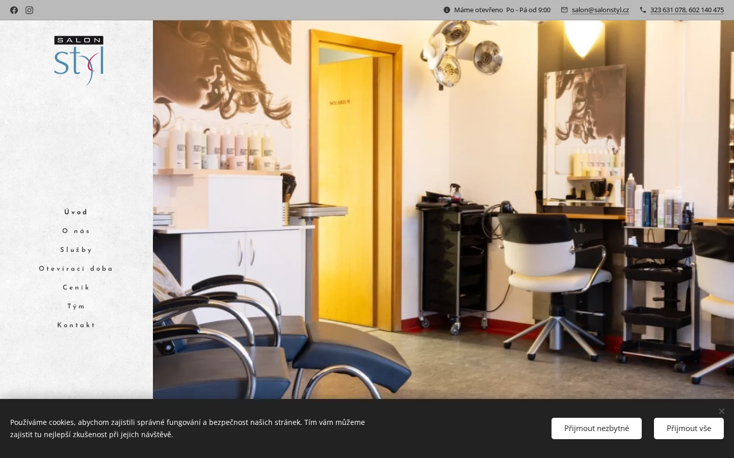 SALON styl website