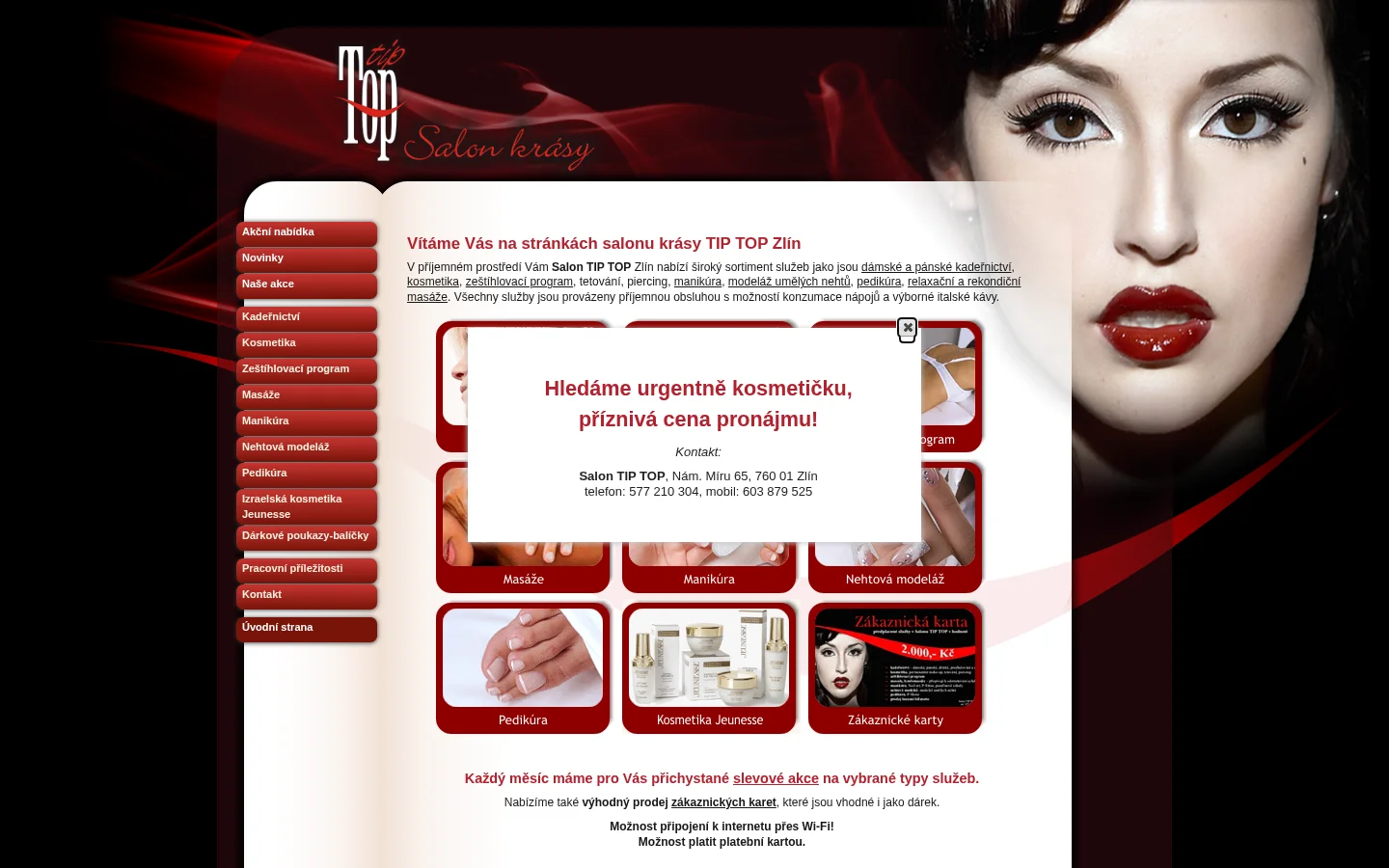 Salon TIP TOP website