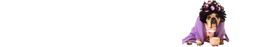 Psí salon Zora Vynšová logo