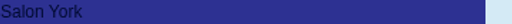 Salon York - Hana Havlová logo