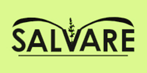 Salvare logo