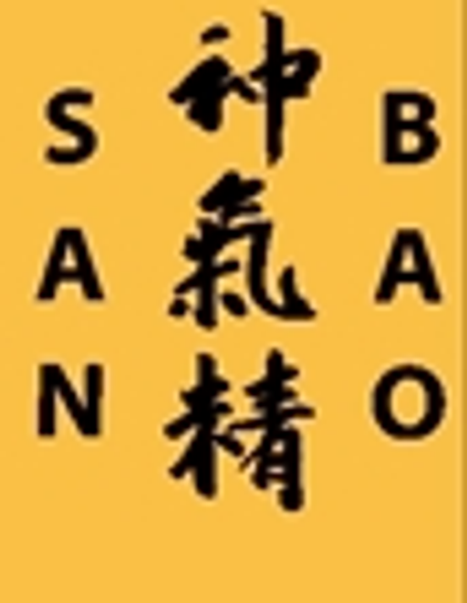 SAN BAO s.r.o. logo