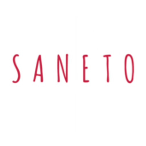 SANETO, spol. s r.o. logo