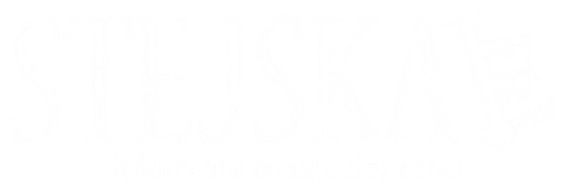 Stěhování a Autodoprava Stejskal logo