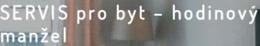 Hodinový manžel Tomáš Vlach logo