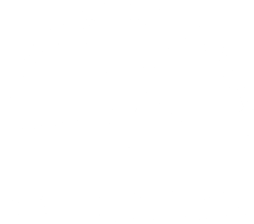 Sportovní gymnázium, Pardubice, Dašická 268 logo