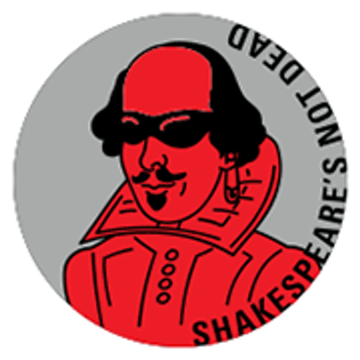AGENTURA SCHOK logo