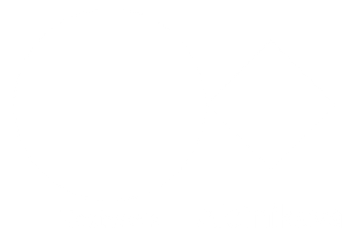Shop.nastassiaaleinikava.com logo