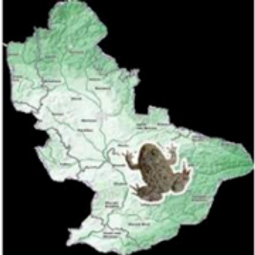 Silezika logo