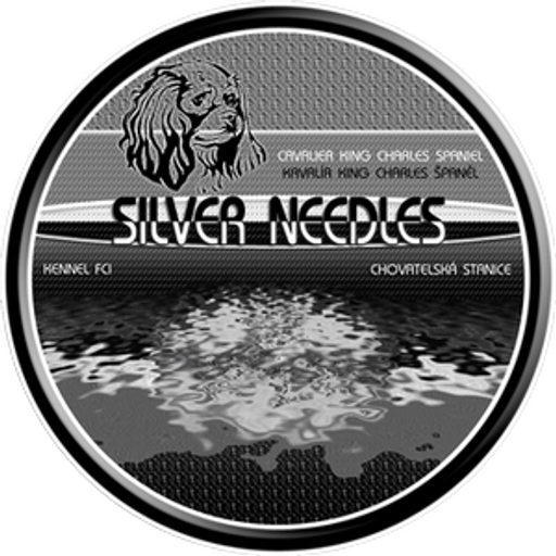 Monika Vadásová - Silver Needles logo
