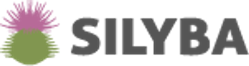 SILYBA, a.s. logo