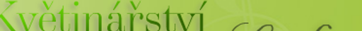 Květinové studio Sinika logo