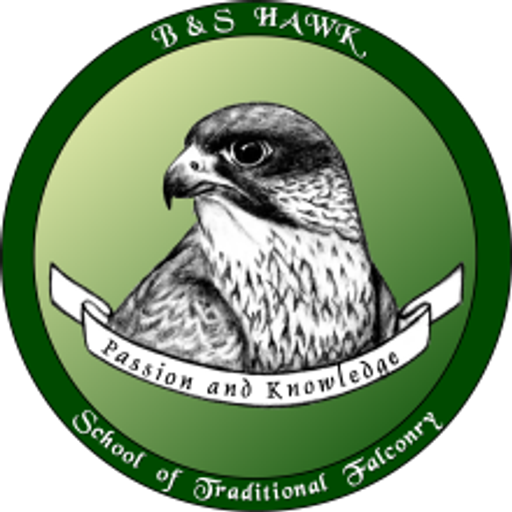 B&S Hawk logo