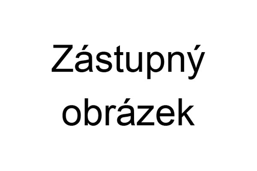 MŠ Borotice logo