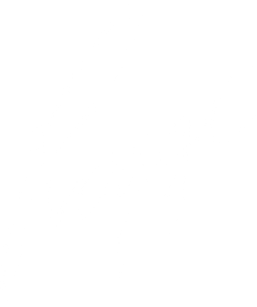 Roggi, s.r.o. logo