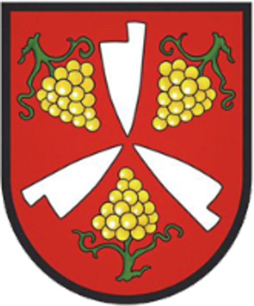 Slatinky logo
