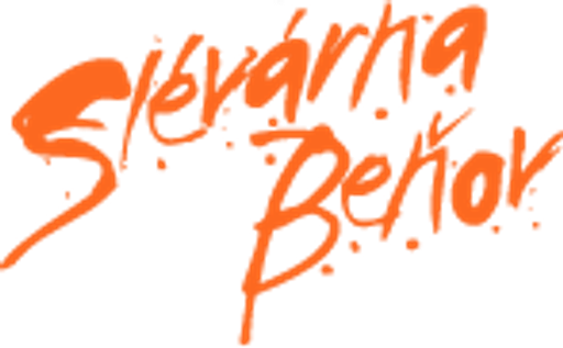 Č.O.B. slévárna, s.r.o. logo