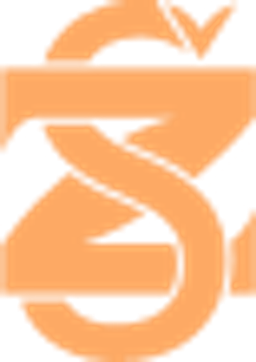 Zdeněk Šmejkal - elektrorevize logo