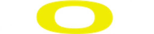 SN tech logo
