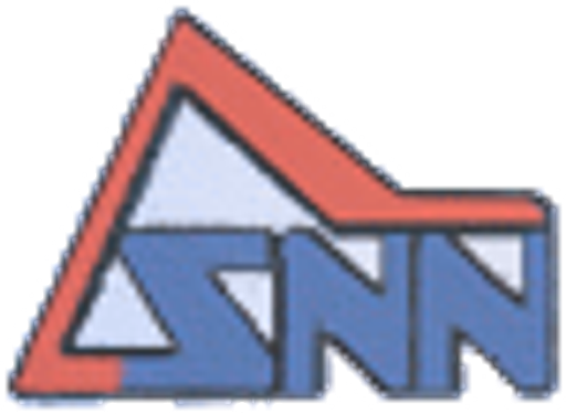 SNN logo