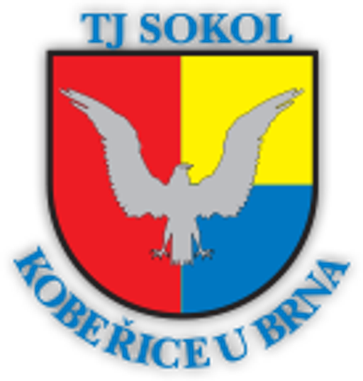 TJ Sokol Kobeřice logo
