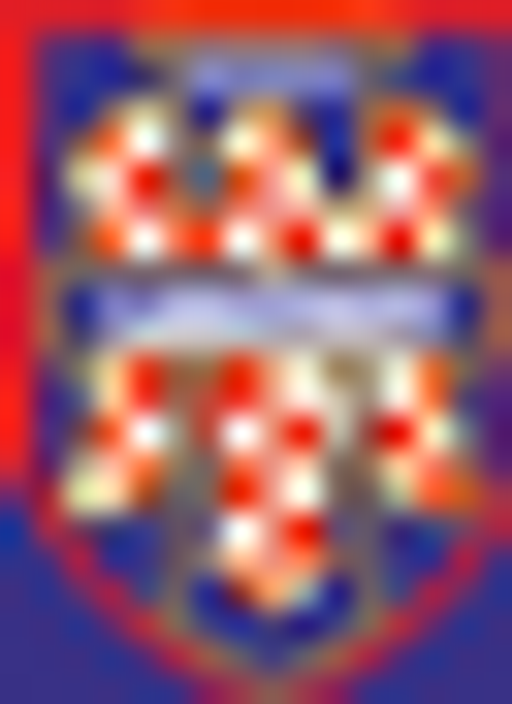Šachový klub TJ Sokol Lanžhot logo