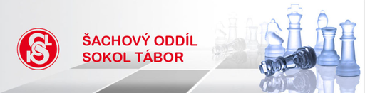 Tělocvičná jednota Sokol v Táboře logo