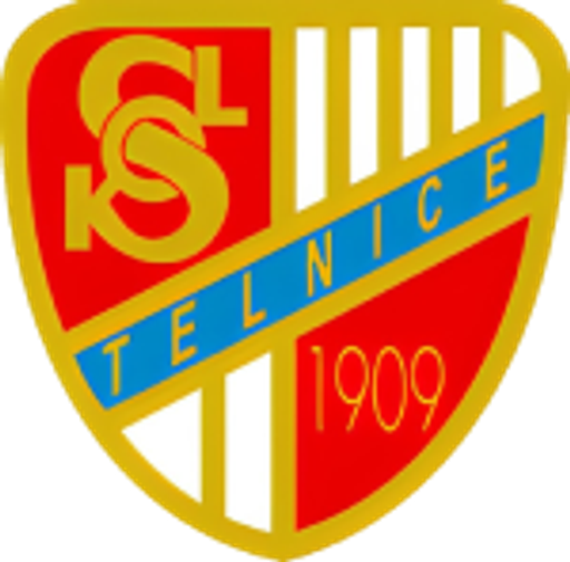 TJ Sokol Telnice logo