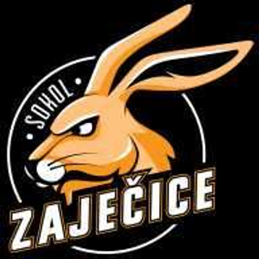 TJ Sokol Zaječice logo