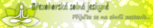 Březohorská solná jeskyně logo