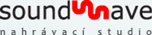 Studio Soundwave logo
