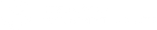 Střední škola managementu a služeb logo