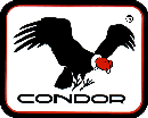 CONDOR logo