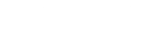Jan B. Špidlen - mistr houslař logo