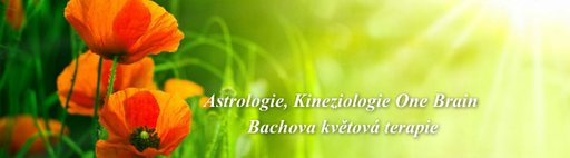 Spokojený život Jana Steckerová logo
